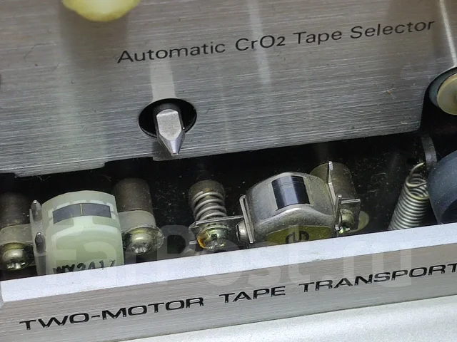 ���� ���������. ����