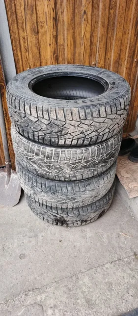 Nordman 7. ������, ����������, 2018 ���, �/�, ����� 25 % ����