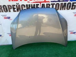 ����� Chevrolet Aveo 2005-2012 96888443, �������� 96888443 ����