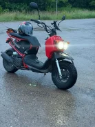 Honda Zoomer ����