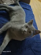 ����� �����. ����