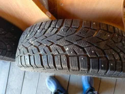 Gislaved Nord Frost 100. ������, ����������, �/�, ����� 70 % ����