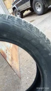 Pro Comp. ������, 2025 ���, �/�, ����� �� 5 % ����