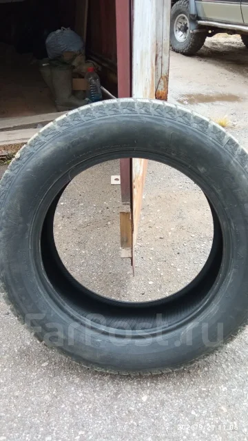 Pro Comp. ������, 2025 ���, �/�, ����� �� 5 % ����