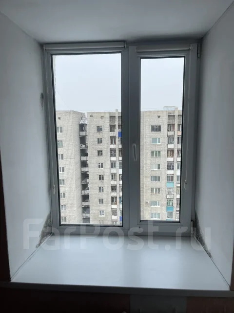 ������ ����. ����