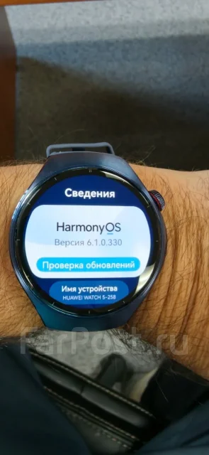 Huawei Watch 5. GPS, NFC, SIM-�����, IP67, IP68 ����