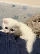 ������. ����