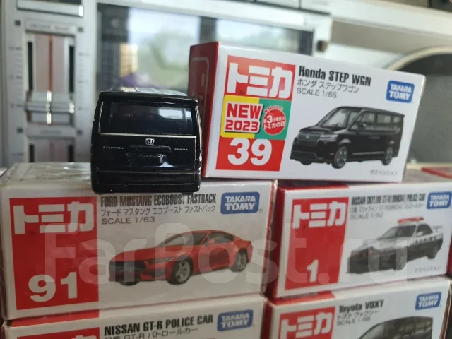 ����������. ����