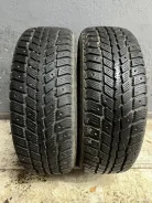 Nexen Winguard 231