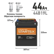 Startex