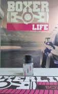 ������ ����/CVT ������� COB-WEB sf353 ����