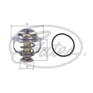 ��������� Gates, ���. TH42895G1 TH42895G1 ����