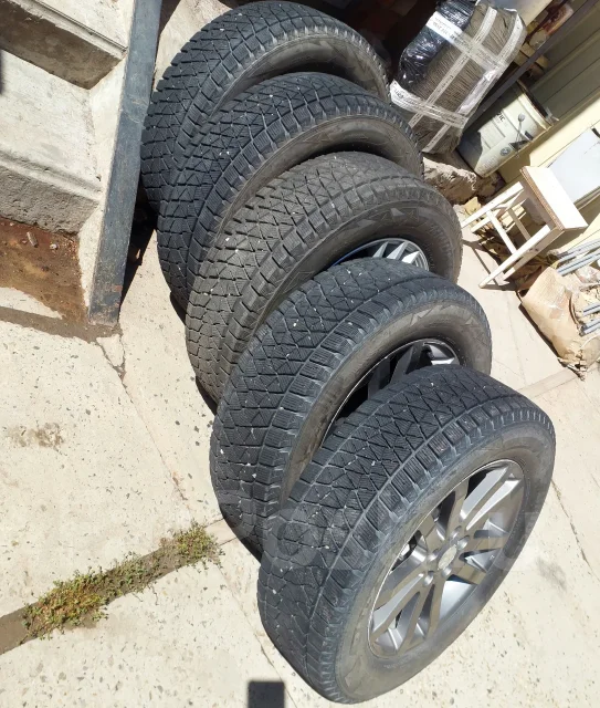 Bridgestone Blizzak DM-V2. �����������, 2018 ���, �/�, ����� 20 % ����
