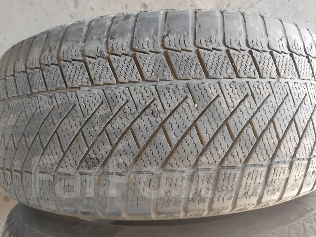 Continental Contact. ������, ��� �����, �/�, ����� 50 % ����