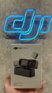 ���������. ����