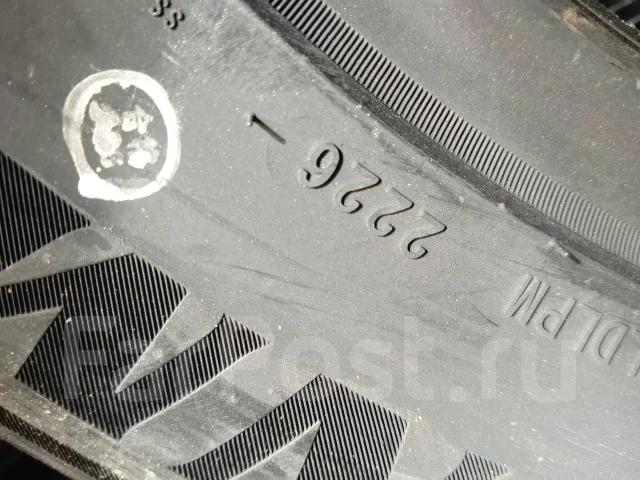 Zelda Surate Ice03. ������, ��� �����, 2026 ���, ����� ����