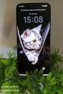 Honor 400. �/�, 256 ��, ������, 3G, 4G LTE, 5G, eSIM ����