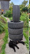 Bridgestone Blizzak RFT. ������, ��� �����, 2016 ���, �/�, ����� 20 % ����