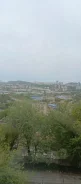 2-���������, ����� ������������ 51. ���������, ���������, 42���.��., 4/6 ����, ������������ ������. ��� �� ���� ���� ����