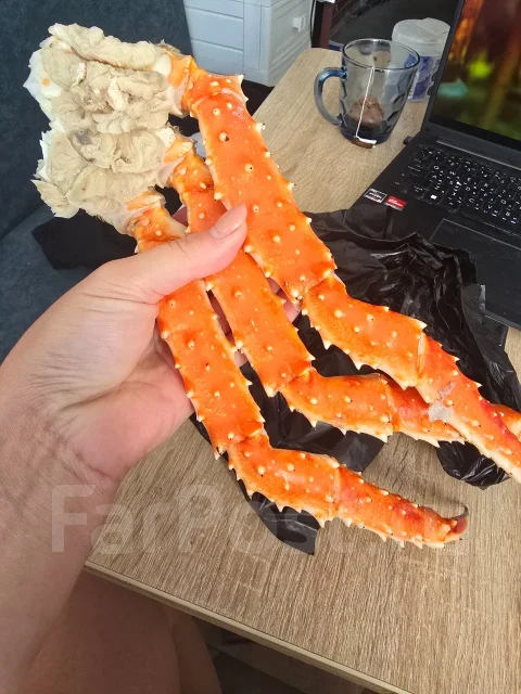 ���� ����������. ����