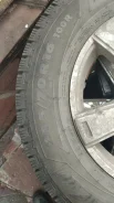 Nordman 2. ������, ��� �����, 2024 ���, �/�, ����� 5 % ����
