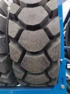 Apollo Terra MT