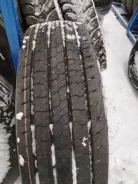���� Forza REG S