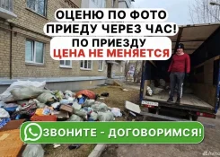 ����� ������. ����