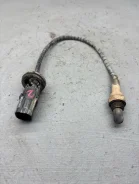������ ����������� ���� ������ 2021 210743850010 ����� 11186 210743850010 ����