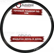 ������ �������������� Victor Reinz ���. 40-76149-00 407614900 ����