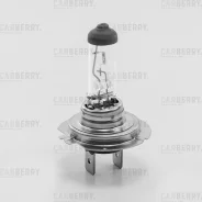 ����� �7 12V (55W) DayNight H7 12V (55W) PX26D Carberry 31CA13 31CA13 ����
