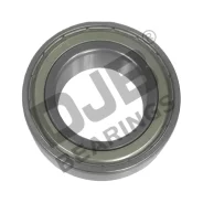 ��������� ������������� 35x62x14 DJB 6007ZZ 6007ZZ ����