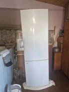 ������������. ����