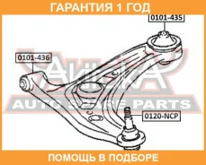 ����������� ASVA / 0101436 �������� 12 ��� 0101436 ����