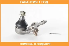 ����� ������� ������� ������ ����� ������� ASVA / 0120285 �������� 12 ��� 0120285 ����