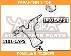 ����������� ASVA / 1101CAPS �������� 12 ��� 1101CAPS ����