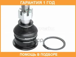 ������� ����� ������� ������ D=38 Baikor / BKBJ0010 �������� 12 ��� BKBJ0010 ����