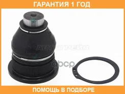 ������� ����� ������ Baikor / BKBJ0021 �������� 12 ��� BKBJ0021 ����