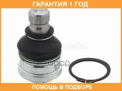 ������� ����� ������� ������ Baikor / BKBJ0042 �������� 12 ��� BKBJ0042 ����
