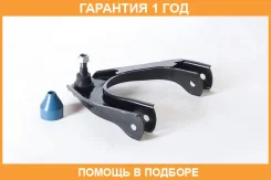 ����� �������� ������� ������ ASVA / 2024001 �������� 12 ��� 2024001 ����