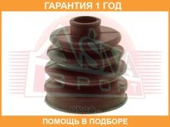 ������� ���� (�������� ��� ������) ASVA / Asbtrcu20 �������� 12 ��� ASBTRCU20 ����