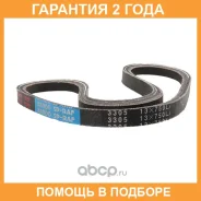 ������ �������� Bando / RAF3305 �������� 24 ��� RAF3305 ����