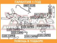 ����������� ASVA / 1101CAPR2 �������� 12 ��� 1101CAPR2 ����