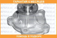 ������� �����, ���������� ��������� DOLZ / S242 �������� 6 ��� S242 ����