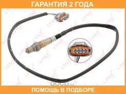 ������ ��������� Lynxauto / DM2200 �������� 24 ��� DM2200 ����