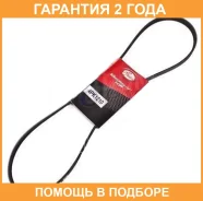 ������ ���������� Gates / 4PK1210 �������� 24 ��� 4PK1210 ����