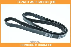 ������ ���������� Dayco / 6PK1960 �������� 6 ��� 6PK1960 ����