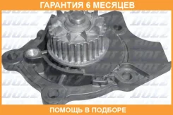 ������� �����, ���������� ��������� DOLZ / A231 �������� 6 ��� A231 ����