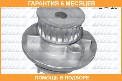 ������� �����, ���������� ��������� DOLZ / O146 �������� 6 ��� O146 ����