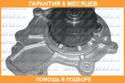 ������� �����, ���������� ��������� DOLZ / O266 �������� 6 ��� O266 ����